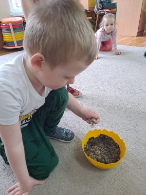 Chłopiec przygotowuje nasionka kwiatów do posadzenia.